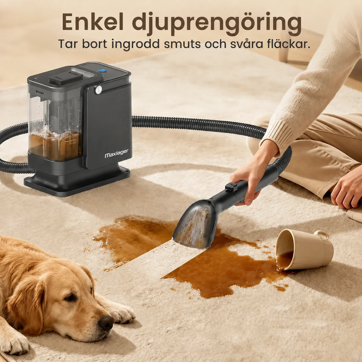 Maxlager Carpet & Upholstery Cleaner 800 W – 16 kPa for Sofas, Cars, Carpets & Stains